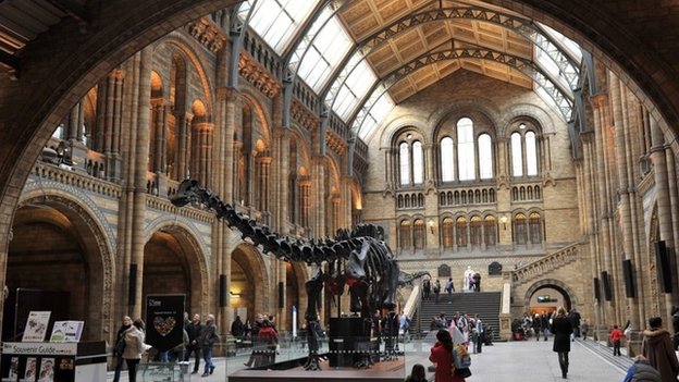 Natural History Museum receives £5m&nbsp;donation