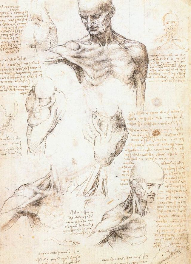 Medieval Images of the Human&nbsp;Body